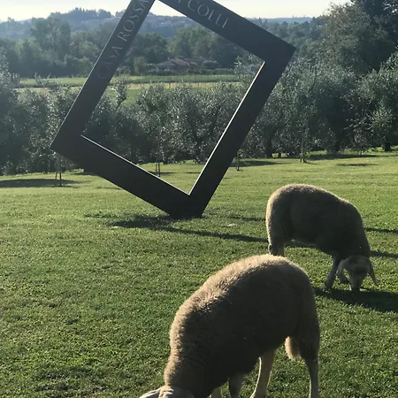 Κατάλυμα σε φάρμα Casa Rossa Ai Colli